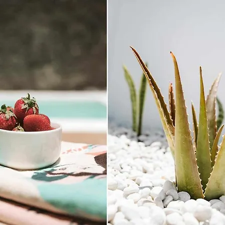 וילה Lyra, Piscina Climatizada